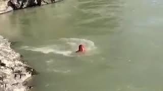 Элекмонар трагический заплыв в Катуни