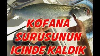 Tekneden Kofana Avı - Kofana Sürüsünün İçinde Kaldık - Offshore Bluefish Catch - School of Bluefish