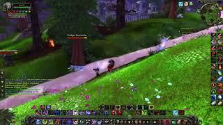 Emerald Allies Quest - WoW Cataclysm