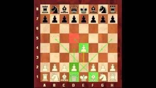 Chess for Beginners. Chess Openings #1. Opening Fundamentals. Eugene Grinis. Chess