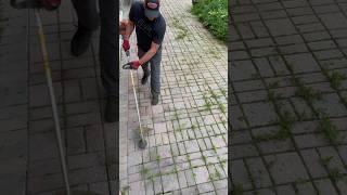 Weed Whacking Gone Wrong Still Satisfying #yardwork #cleanup #shorts