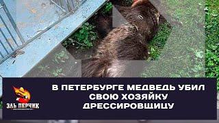 В Петербурге медведь убил свою хозяйку дрессировщицу