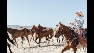 Exploring the Wild of Campwood Cattle Company  Ranch Life Arizona Adventure Sustainable Ranching