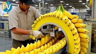 How millions of tons of mini bananas are harvested and processed. Mini banana production.
