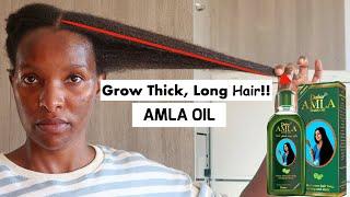 Use This Once A Week  FOR Thicker Longer Hair Growth  Amla Oil For Hair Growth 2022