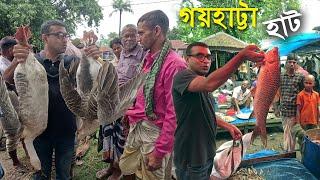 গয়হাট্টা হাট পরিক্রমা শেষে টাটকা শাকসবজী রুই কাতল মাছ কিনলাম  গ্রামীন হাট বাজার