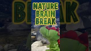 Nature Brain Break with Doug the Dinosaur #NatureBreak #NatureBrainBreak #puppetdragon #kidshorts