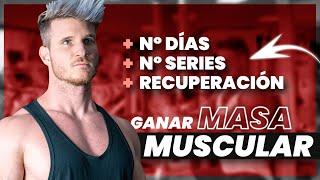 La Frecuencia Perfecta para Ganar Masa Muscular La Ciencia lo Explica