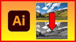 How to Convert color image to black and white in Illustrator 2021