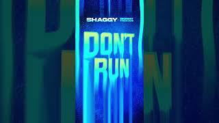 Don’t run from it STREAM NOW ‍️ #shaggy #skinnyfabulous #caribbean #carnival #vprecords