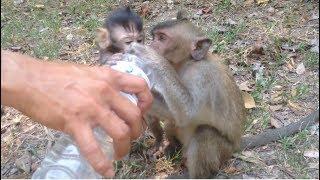 So adorable  when Timo and baby Maddix drink water everyday very hot someone given for them