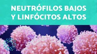 Neutrófilos bajos y linfocitos altos  - CAUSAS y TRATAMIENTO