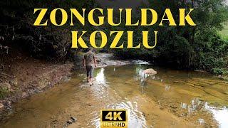 4K  Zonguldak Kozlu - Tabiatta Rahatlatıcı Bir Yürüyüş  Scenic Nature Walk Hidden Paradise