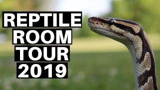 Reptile Room Tour 2019 - Benjamins Exotics