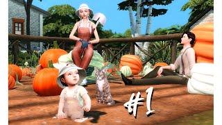 Ферма на миллион #1 - Из грязи в грязи The Sims 4