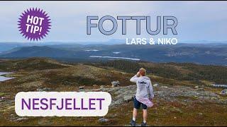 To flotte fjelltopper - Fottur på Nesfjellet