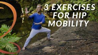 3 Essential Hip Mobility Exercises for Seniors  Qigong with Lee Holden