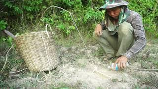 Catching Wild Chicken By Trap Using wood  How To Trap Wild Chicken