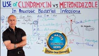 Clindamycin vs Metronidazole  Anaerobic Infection  Pharmacology