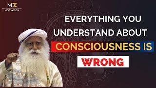 Sadhguru - What Is Consciousness ?  Consciousness Memory Intelligence  M3 Motivation