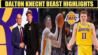 Dalton Knecht Highlights Lakers