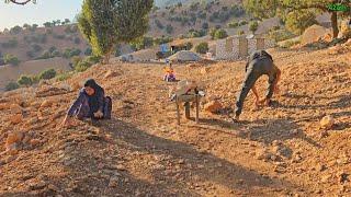 Nomadic Life Collecting Stones for Mahmoud and Azam’s New House Construction