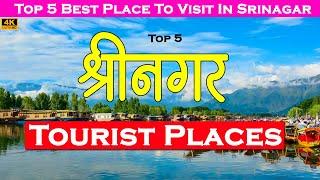 Srinagar complete travel guide  Top 5 Best Place To Visit In Srinagar  Srinagar Tourism