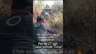 Kebakaran Gunung Arjuno #shorts #vidioviral #pendakian