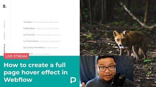 How to create a full page hover effect in Webflow