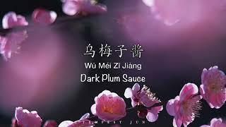 乌梅子酱 Dark Plum Sauce 李荣浩 Li RongHao - Chinese Pinyin & English Translation 歌词英文翻译