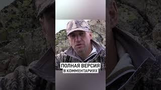 Охота на Кубанского тура 🫀 Четкий выстрел по месту.