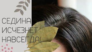 Dont thank me In just 4 minutes get rid of gray hair forever Recipe from gray hair