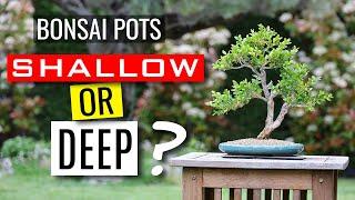 Bonsai pots and bonsai health - Understand the effects of your pot choice