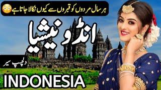Travel to Indonesia  Full History Documentary about Indonesia in Urdu & Hindi