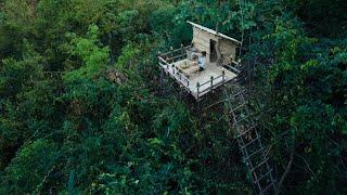 Amazing Girl Build The Most Beautiful Bamboo Tree house