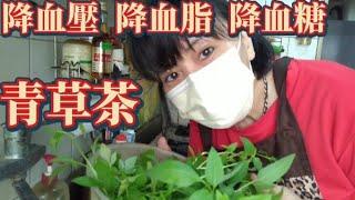 讓你血壓 血脂 血糖都正常•青草茶DIY •健康降三高2022.12.12