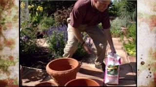 Patio Planters