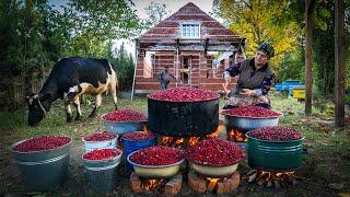 Preserving Flavor Making Delicious Dogwood Paste