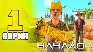 ЛУЧШЕЕ НАЧАЛО на ARIZONA RP - ПУТЬ БОМЖА на АРИЗОНА РП в GTA SAMP