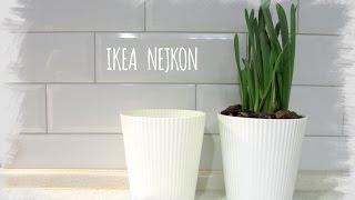 ИКЕА НЕЙКОН  IKEA NEJKON - кашпо для цветов выпуск 3