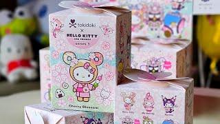  Tokidoki x Hello Kitty and Friends Series 3 blind box CASE