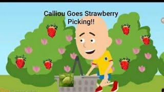 Calliou Goes Strawberry Picking Not Exact For Kids