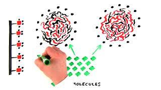 Introduction to Hydrophobic Interaction Chromatography