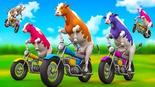 5 Giant Color Cows Race to Victory in Hilarious Bike Challenge  Funny Cow Cartoons