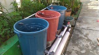 DIY  How to build simple RAS system for catfish ponds using bucket  Aquaponic system Part 1