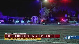 Monster Tampa 19-year-old kills parents shoots deputy in shootout sheriff says