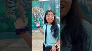 Hum chale jungle safari pe  #priyalkukreja #shorts #ytshorts