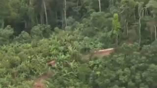 North Sentinel Island drone view India