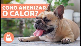 Como aliviar o CALOR nos CACHORROS? ️ 5 maneiras de evitar insolação em cães