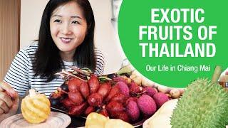 MUST TRY Fruits in Thailand  Expat Life in Chiang Mai